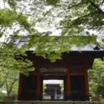 ［6］新緑に囲まれた鎌倉のお寺