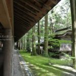 ［6］今年の夏休みは山と神社！？