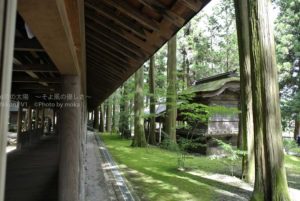 ［6］今年の夏休みは山と神社！？