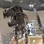 ［6］梅雨の時期の撮影は博物館に決まり！！