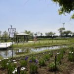 ［6］水郷の町らしい水路に風情を感じる