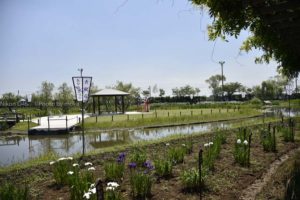 ［6］水郷の町らしい水路に風情を感じる