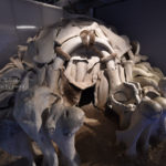 ［6］マンモスと暮らす