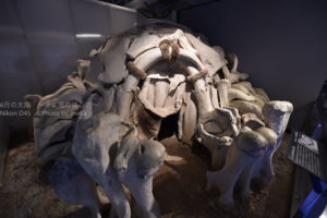 ［6］マンモスと暮らす