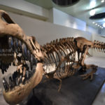 ［6］夏休みに恐竜を研究しよう！！