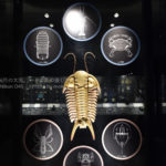 ［６］古代生物から受けるロマン