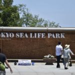 ［6］涼を求めて炎天下を歩く。