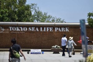 ［6］涼を求めて炎天下を歩く。