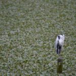 ［6］ちょっと羽休め