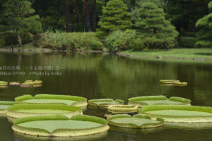 ［6］パラグアイオニバスに乗ってみよう！！