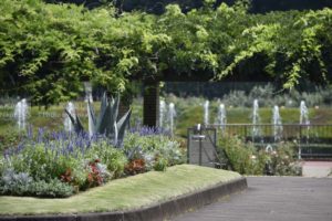 ［6］真夏の日差しが突き刺さる