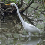 ［6］餌の宝庫だ、全員集合！！
