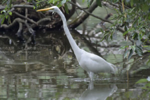 ［6］餌の宝庫だ、全員集合！！