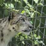 ［6］曇りなき眼で見つめる先