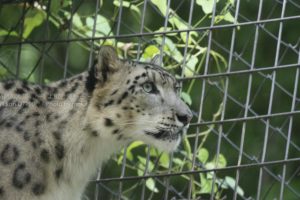 ［6］曇りなき眼で見つめる先