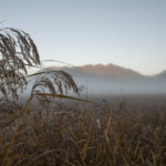 ［6］夜明けの霧が作り出す秋の世界
