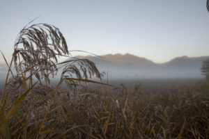 ［6］夜明けの霧が作り出す秋の世界