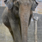 ［6］気分はパリコレモデル！！