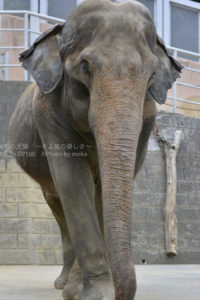 ［6］気分はパリコレモデル！！