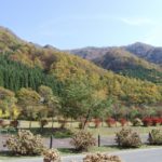 ［6］紅葉した木々に緑の木が与えるアクセント