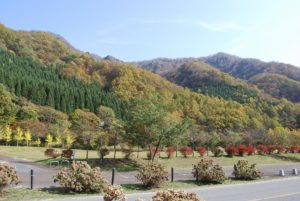 ［6］紅葉した木々に緑の木が与えるアクセント