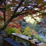 ［6］山梨県の紅葉の名所、昇仙峡