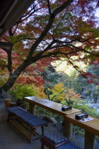 ［6］山梨県の紅葉の名所、昇仙峡