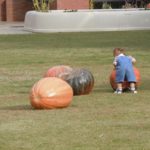 ［6］子供のハッピーハロウィン