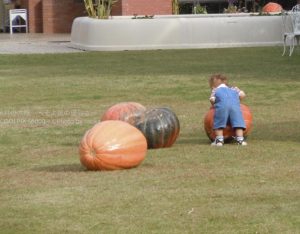 ［6］子供のハッピーハロウィン