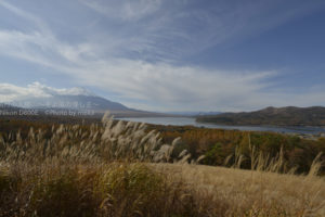 ［6］雪化粧の富士山と紅葉