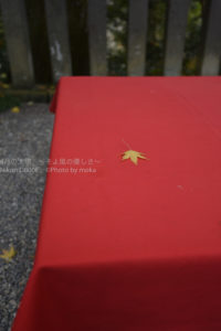 ［6］1枚の葉で楽しむ紅葉