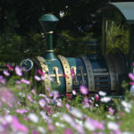 ［6］公園の中を走る機関車！