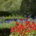 ［6］公園で休日を贅沢に使う♪