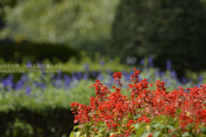 ［6］公園で休日を贅沢に使う♪