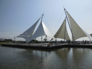 ［6］潮風に酔いしれる２歳児