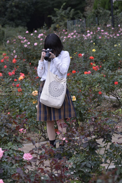 ［6］薔薇の花とカメラ女子をCM風に！？