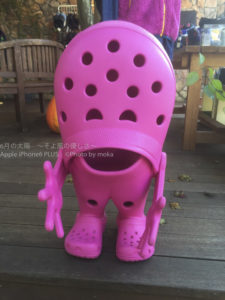 ［6］サンダルのお友達！？