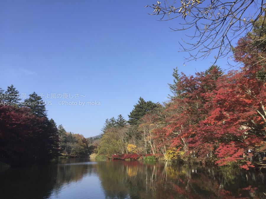 ［6］軽井沢で楽しむ雲場池の紅葉