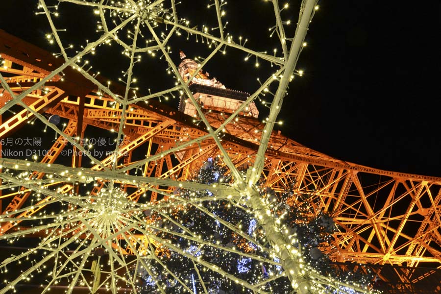［6］冬の夜を彩る、東京タワーとクリスマスツリー