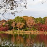 ［6］紅葉に囲まれて、秋深まる・・