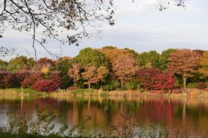 ［6］紅葉に囲まれて、秋深まる・・