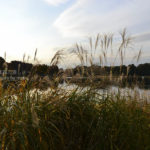 ［6］晩秋の夕暮れ時の想い