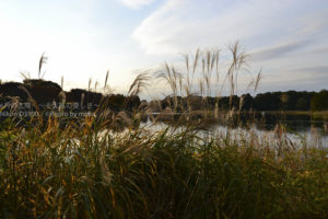 ［6］晩秋の夕暮れ時の想い