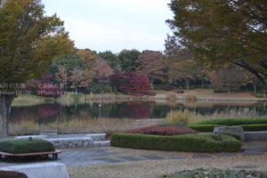 ［6］秋から冬へ　身を引き締めて！！