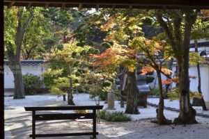 ［6］恵林寺と秋の紅葉