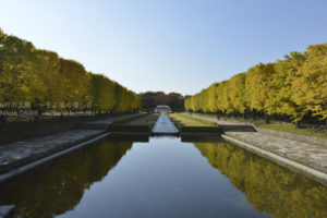 ［6］秋全開の昭和記念公園