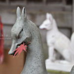 ［6］都心から６０分、本土寺の紅葉を満喫