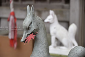 ［6］都心から６０分、本土寺の紅葉を満喫