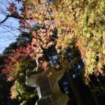 ［6］12月に入っても紅葉を見たい！！