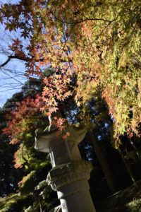 ［6］12月に入っても紅葉を見たい！！